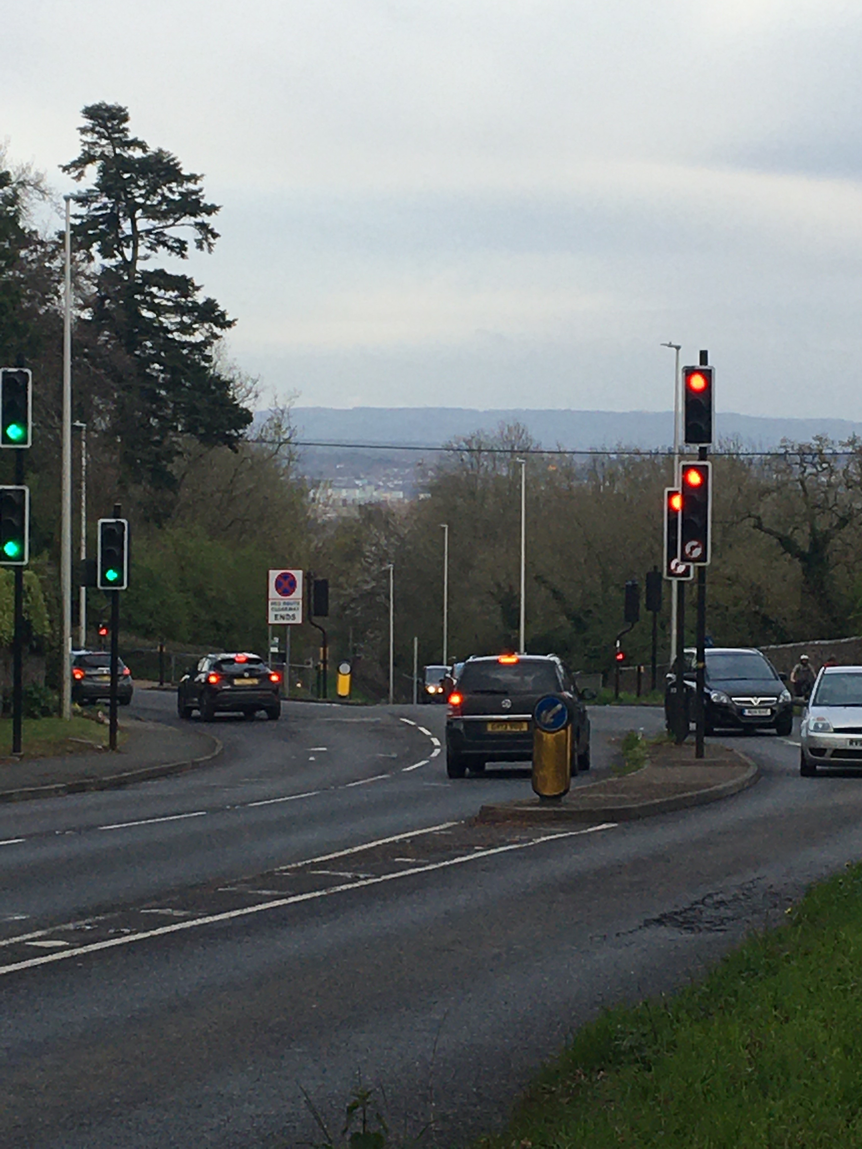 A369 road closure for urgent tree work North Somerset Council